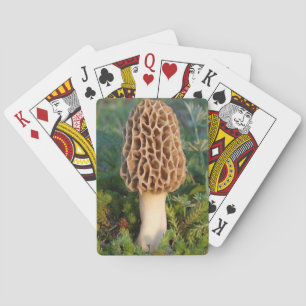 Jeu De Cartes Le délicieux champignon morel