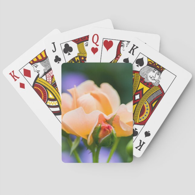 Jeu De Cartes le désir de jouer aux cartes (dos)