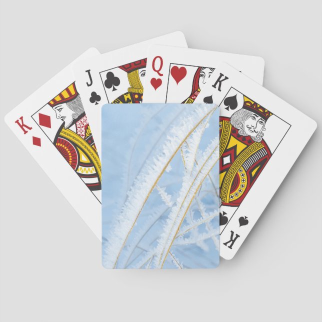 Jeu de cartes le gel et l'or (dos)