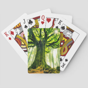 Jeu De Cartes Le hêtre de Ponthus