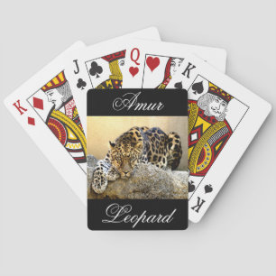 Jeu De Cartes Le léopard d'Amur