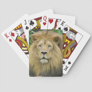 Jeu De Cartes Le lion