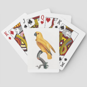 Jeu De Cartes Le perroquet du Sénégal
