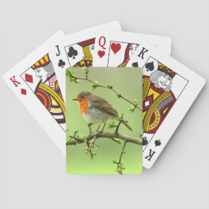 Jeu De Cartes Le Robin