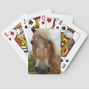 Jeu De Cartes "Le sucre : la grâce de l'Appaloosa"
