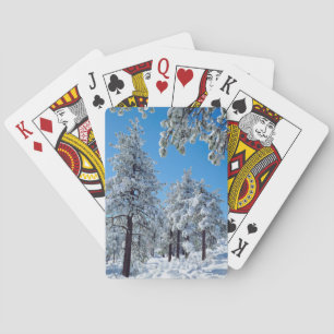 Jeu De Cartes Les arbres couverts de neige dans les Laguna