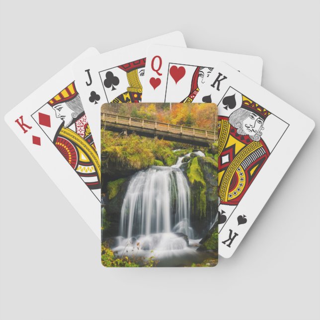 Jeu De Cartes Les cascades | Cascades de Triberg, Allemagne (dos)