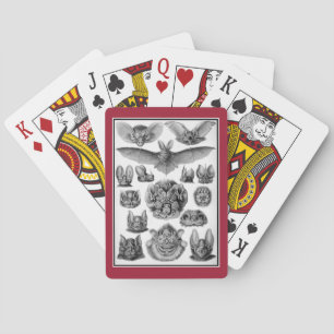 Jeu De Cartes Les chauves-souris !