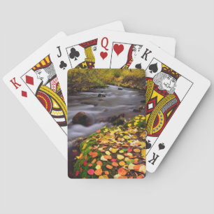 Jeu De Cartes Les couleurs d'automne le long de McGee Creek