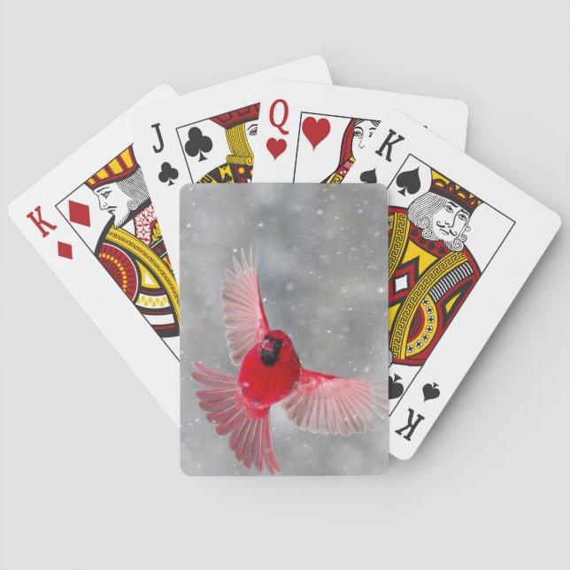 Jeu De Cartes Les Etats-Unis, Indiana, Indianapolis. Un cardinal (dos)