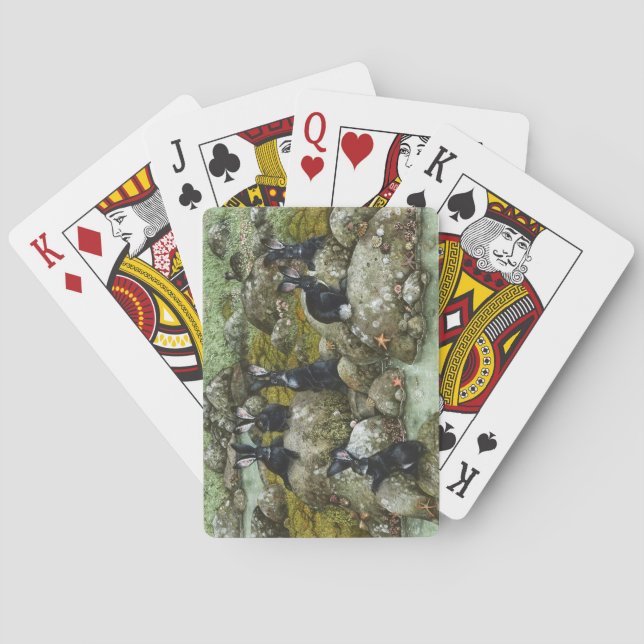 Jeu De Cartes Les lapins noirs de Hy-Brasil (dos)