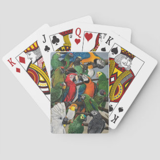 Jeu De Cartes Les perroquets de Pete - Exotiques
