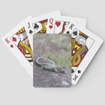 Lézard