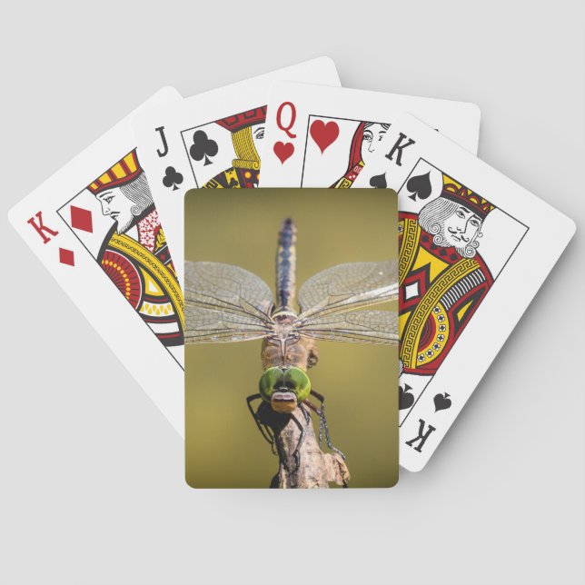 Jeu De Cartes Libellule au repos (dos)