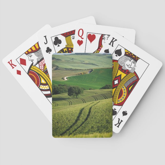 Jeu De Cartes Lignes sinueuses dans la plate-forme verte de (dos)