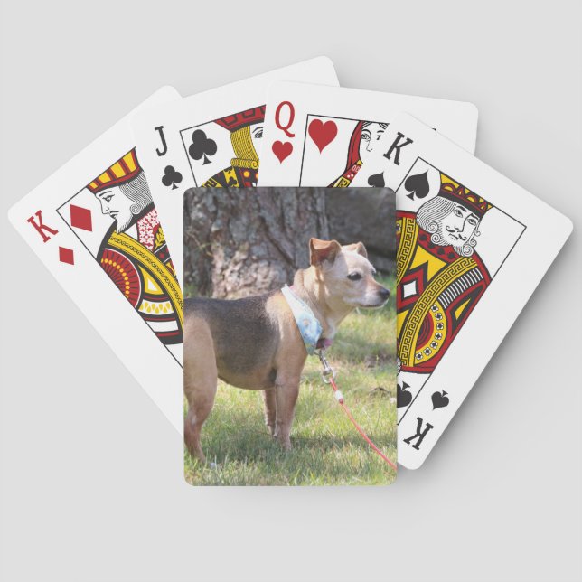 Jeu De Cartes Lily Playing Cards (dos)