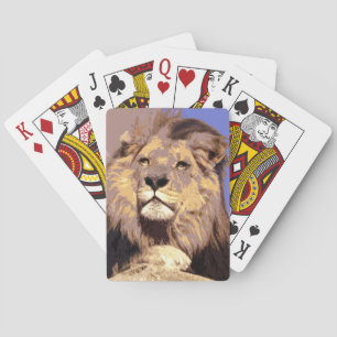 Jeu De Cartes Lion