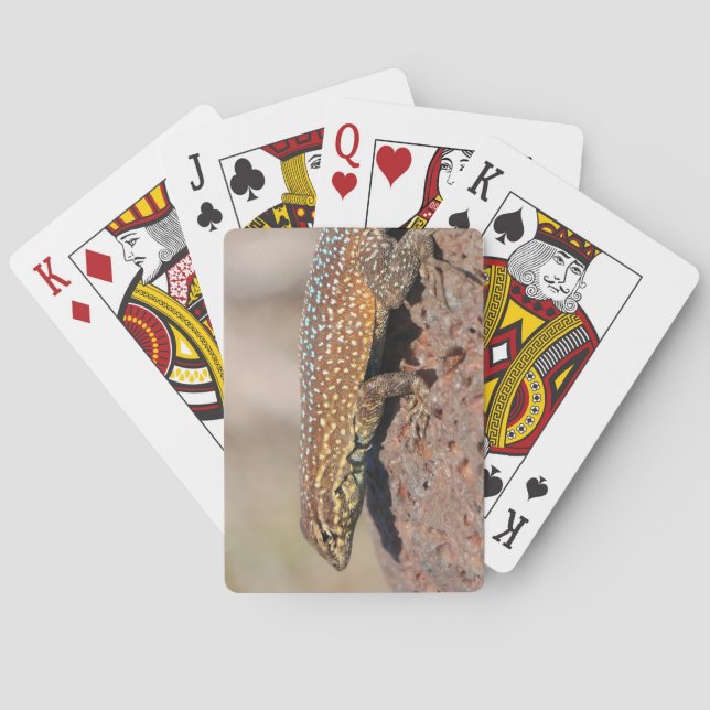 Jeu De Cartes Lizard (dos)