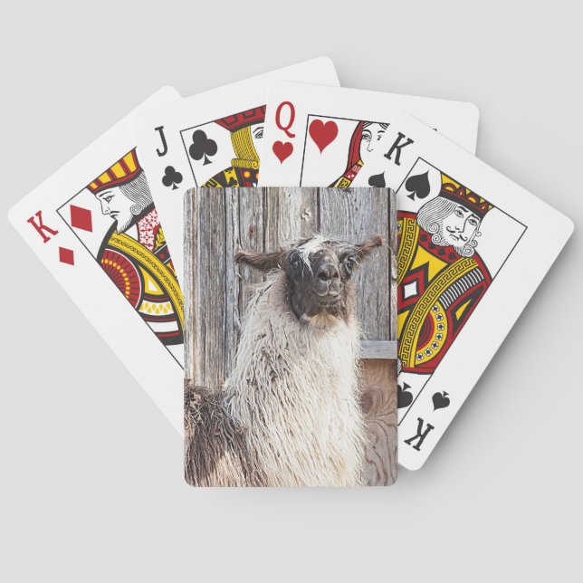 Jeu De Cartes Llama devant une grange (dos)