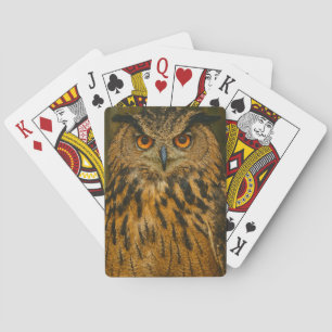 Jeu De Cartes L'observateur - Aigle eurasien à la lumière du boi