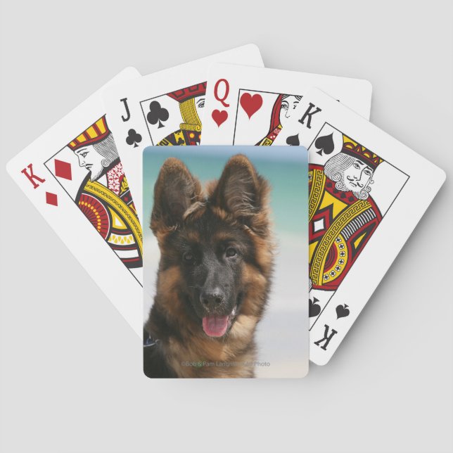 Jeu De Cartes Long Haired German Shepherd Beach (dos)