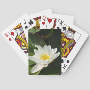Jeu De Cartes Lotus de l'eau Photographie Jouer des cartes