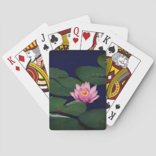 Jeu De Cartes Lotus Nénuphar Rose Jouer Cartes