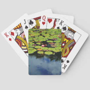 Jeu De Cartes Lotus rose en pluie