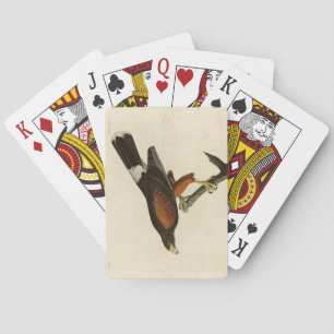 Jeu De Cartes Louisiane (Harris's) Hawk Audubon Birds of America