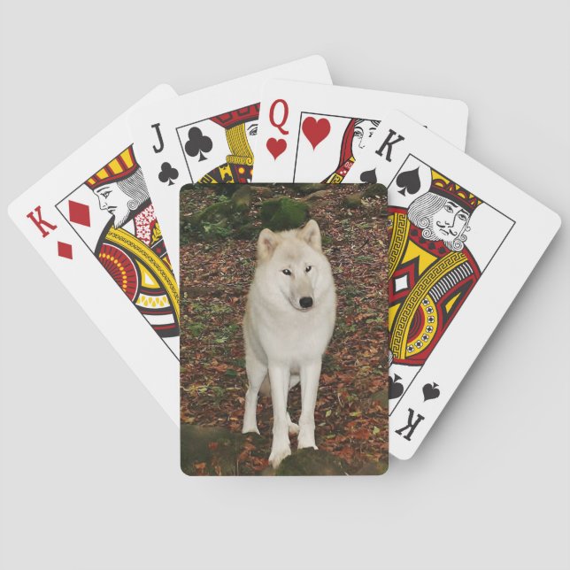 Jeu De Cartes Loup blanc (dos)