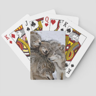 Jeu De Cartes Loup de bois de l'Est