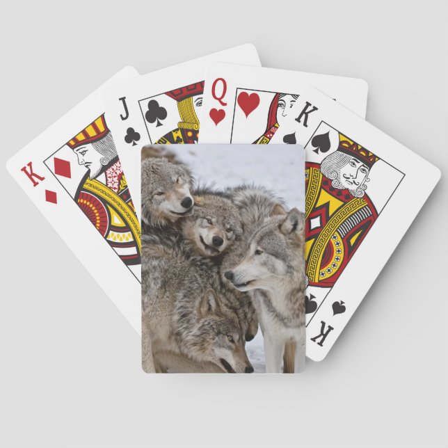 Jeu De Cartes Loup de bois de l'Est (dos)