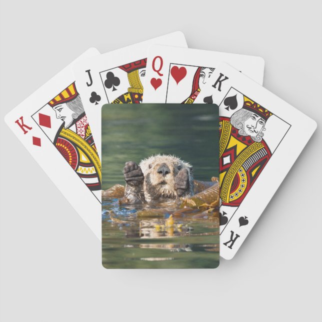 Jeu De Cartes Loup de mer agité (dos)