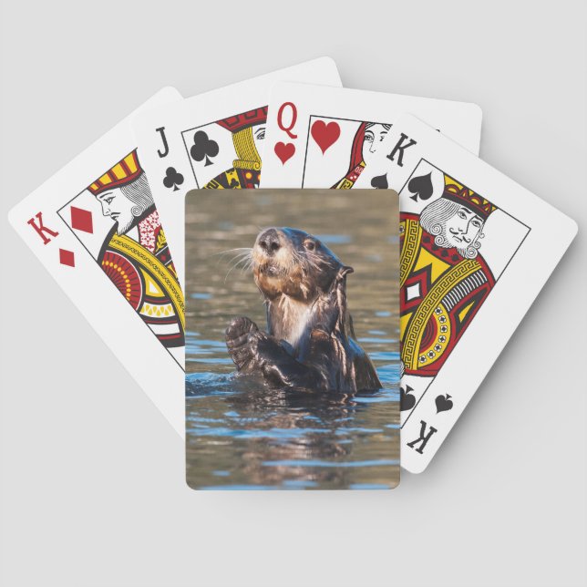 Jeu De Cartes Loutre de mer ensoleillée (dos)