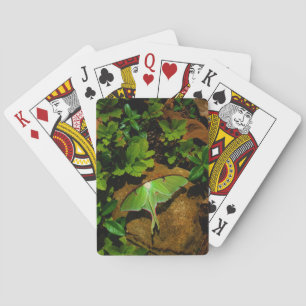 Jeu De Cartes Luna verte géante