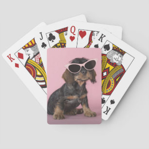 Jeu De Cartes Lunettes de soleil de port de chiot de teckel