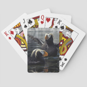 Jeu De Cartes Macareux huppés d'Alaska