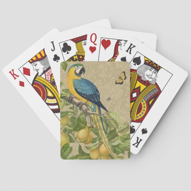 Jeu De Cartes Macaw Blue Jaune Tropical Jungle Antique (dos)