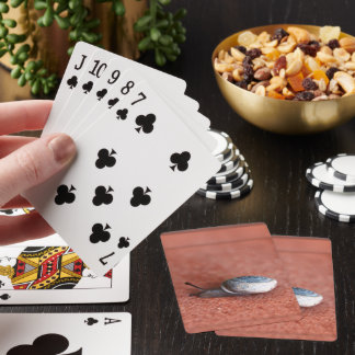 Jeu De Cartes Macro Photographie d'Escargot sur Terre Cuite