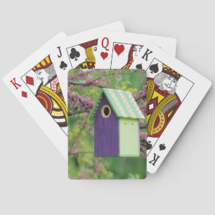 Jeu De Cartes Maison d'oiseau sur un arbre Redbud