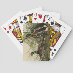 Jeu De Cartes Mallard Duck from Audubon's Birds of America