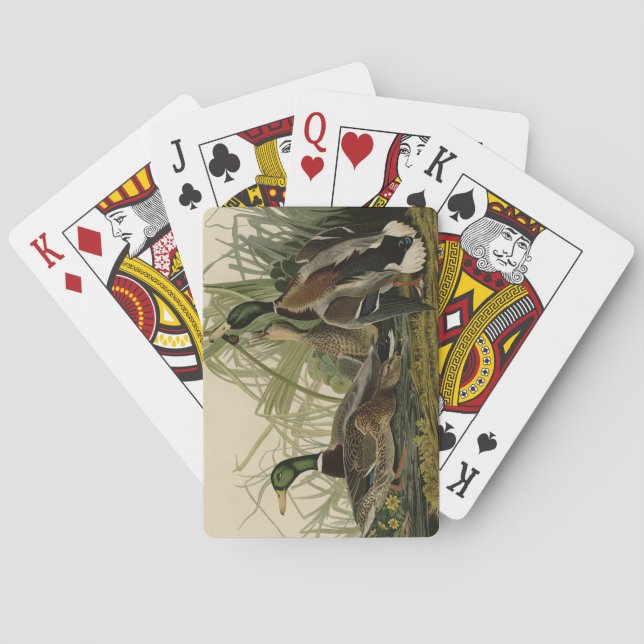 Jeu De Cartes Mallard Duck from Audubon's Birds of America (dos)