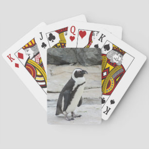 Jeu De Cartes Manchot noir et blanc sur les rochers