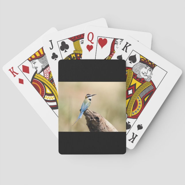 Jeu De Cartes Mangeur d'abeilles à gorge blanche (dos)
