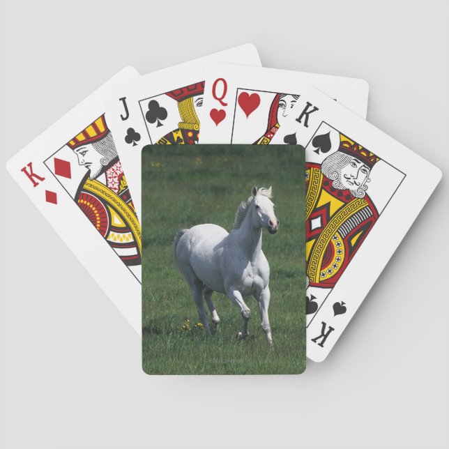 Jeu De Cartes Mare de Thoroughbred (dos)