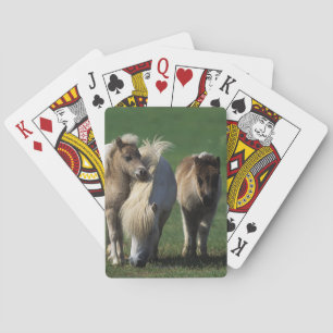 Jeu De Cartes Mare miniature et Foies 1