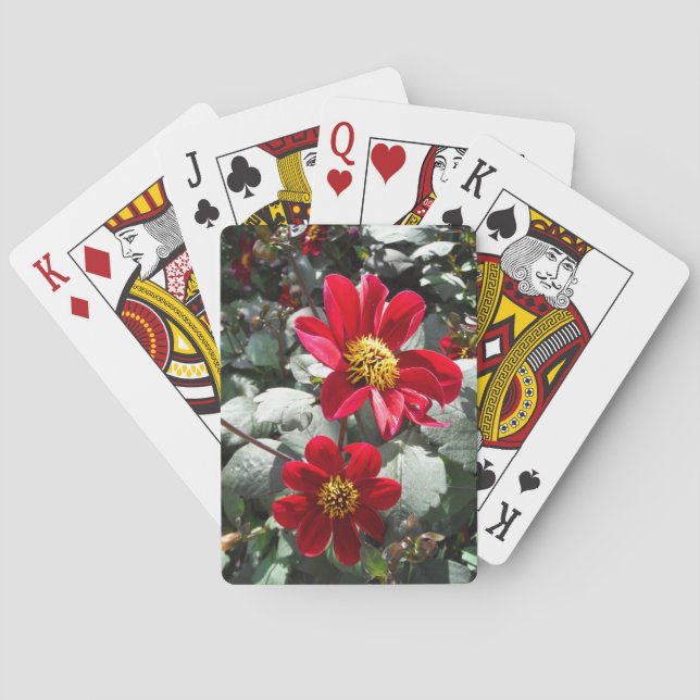 Jeu De Cartes marguerite rose chaud rouge / marguerites fleurs (dos)
