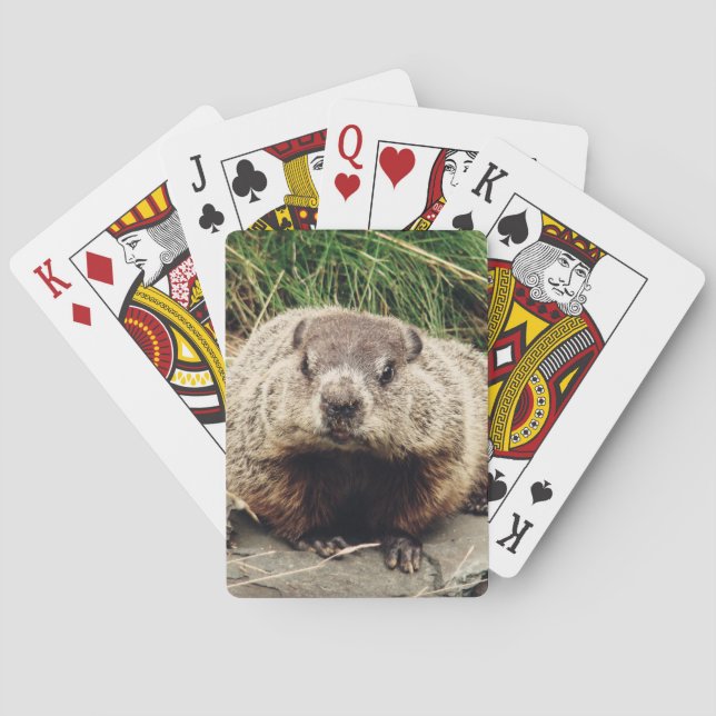 Jeu De Cartes Marmotte (dos)
