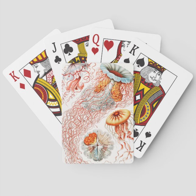 Jeu De Cartes Méduse, Discomedusae par Ernst Haeckel (dos)