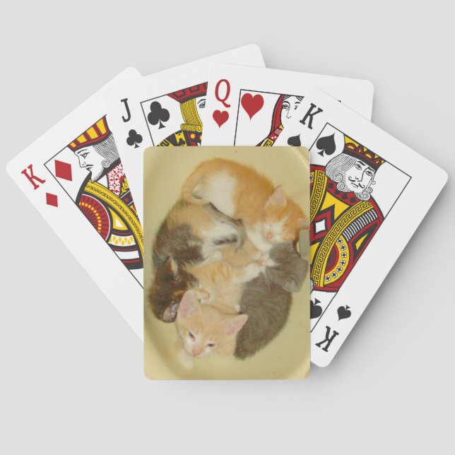 Jeu De Cartes Meow Cats 4 Cartes De Jeu (dos)